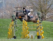 Whitaker W  Fandango TosTour2013- S5 2801 : Arezzo, Arezzo Equestrian Centre, Fandango, Toscana Tour 2013, Whitacker William, foto di Stefano Secchi ©